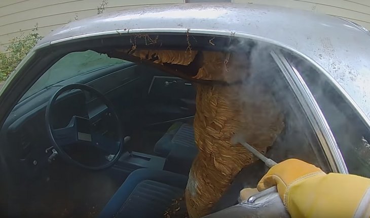 Quelle: YouTube/ The Bee Man Quelle: YouTube/ The Bee Man