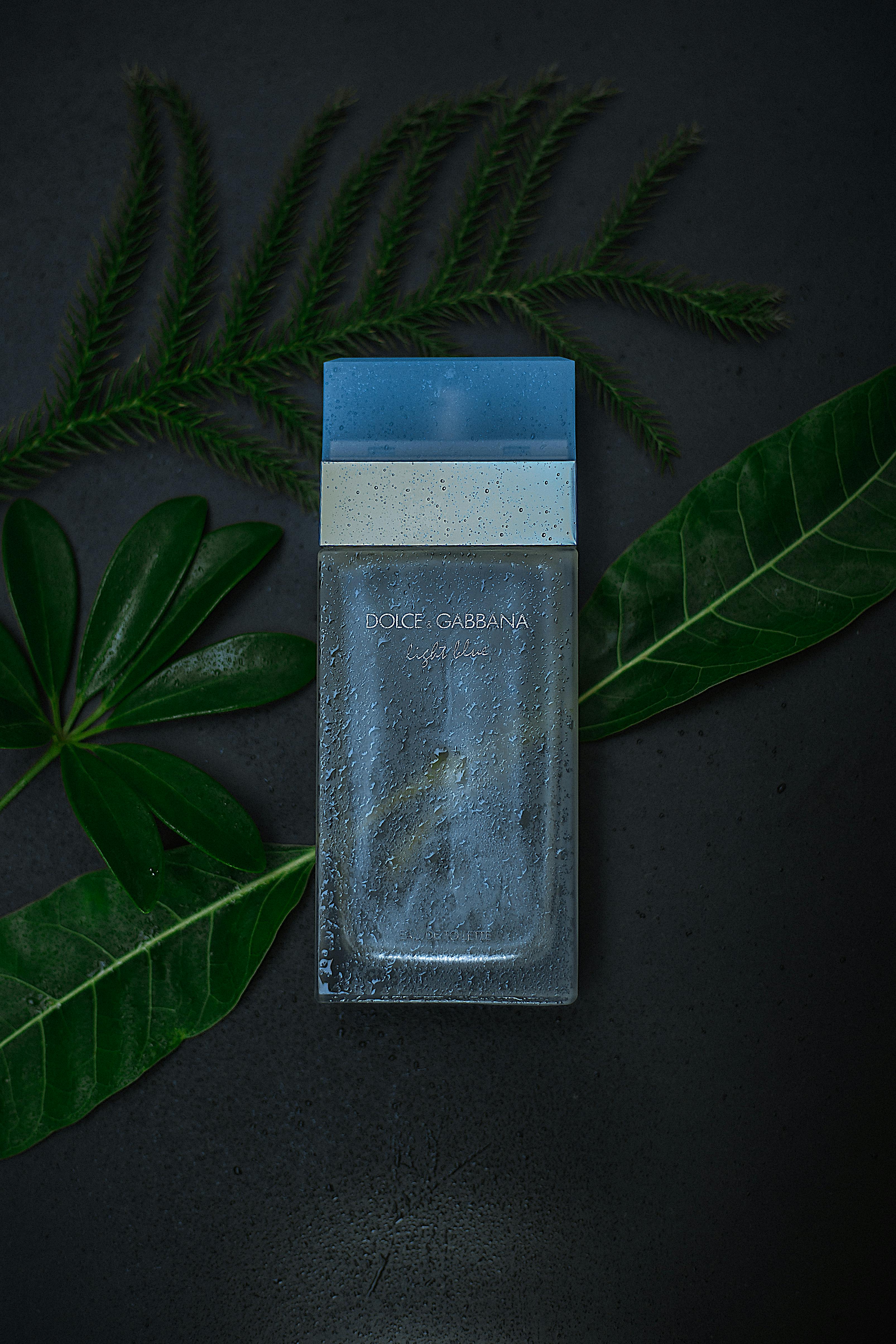 Dolce & Gabbana Light Blue | Source: Pexels