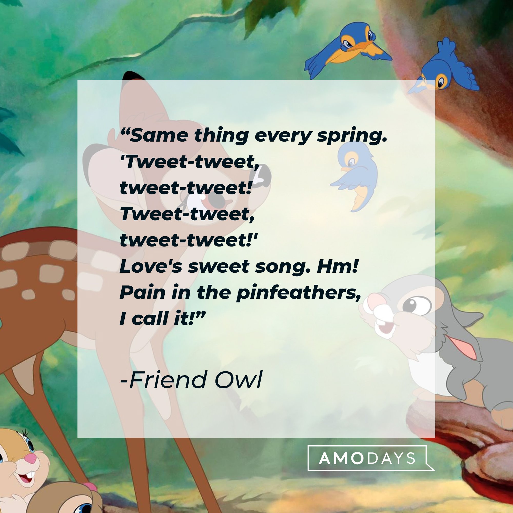 Friend Owl's quote "Same thing every spring. 'Tweet-tweet, tweet-tweet! Tweet-tweet, tweet-tweet!' Love's sweet song. Hm! Pain in the pinfeathers, I call it!" | Source: facebook.com/DisneyBambi