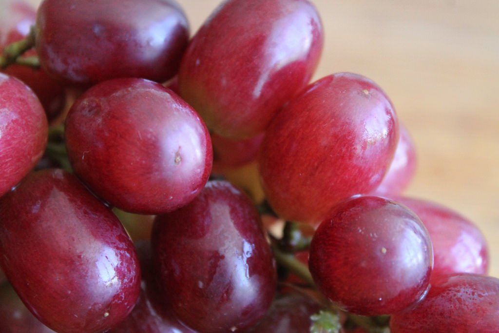 Racimo de uvas. | Imagen: Flickr Racimo de uvas. | Imagen: Flickr
