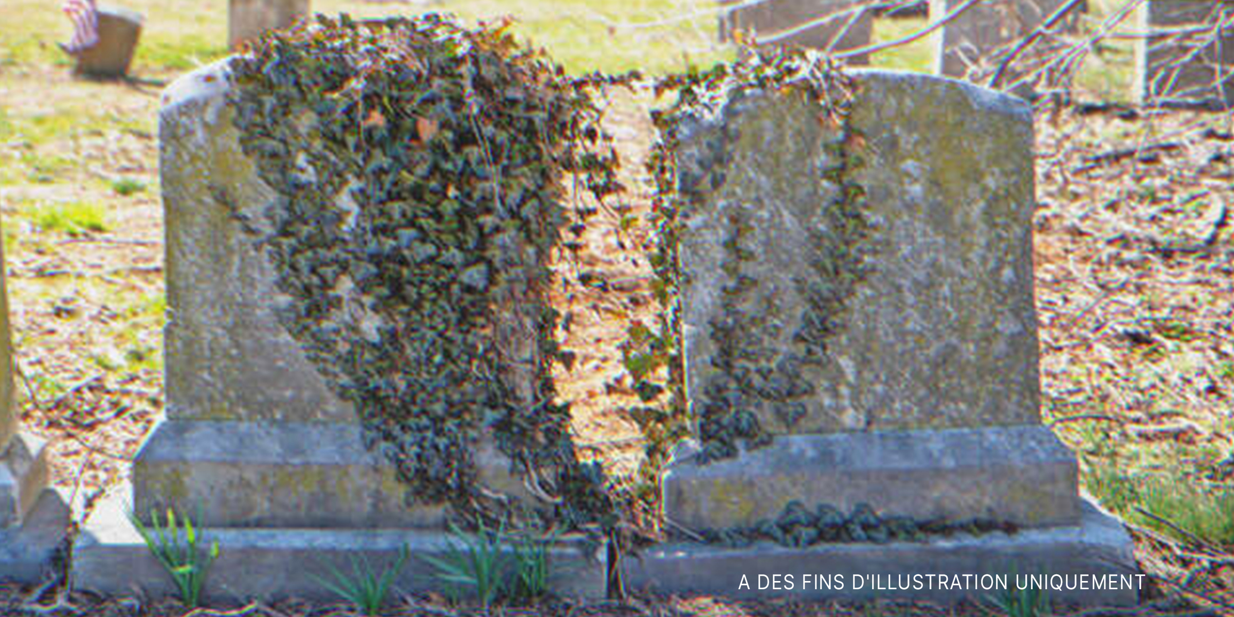Deux pierres tombales adjacentes. | Source : Shutterstock