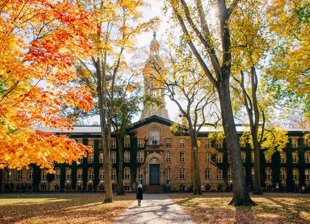 They attended the best universities | Source: Unsplash