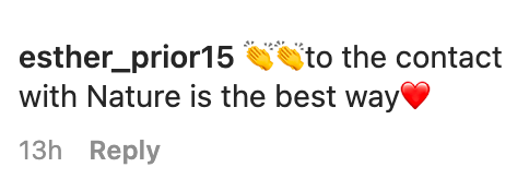 A fan's comment on Alejandra Silva Gere's Instagram post on March 12, 2023 | Source: Instagram/alejandragere