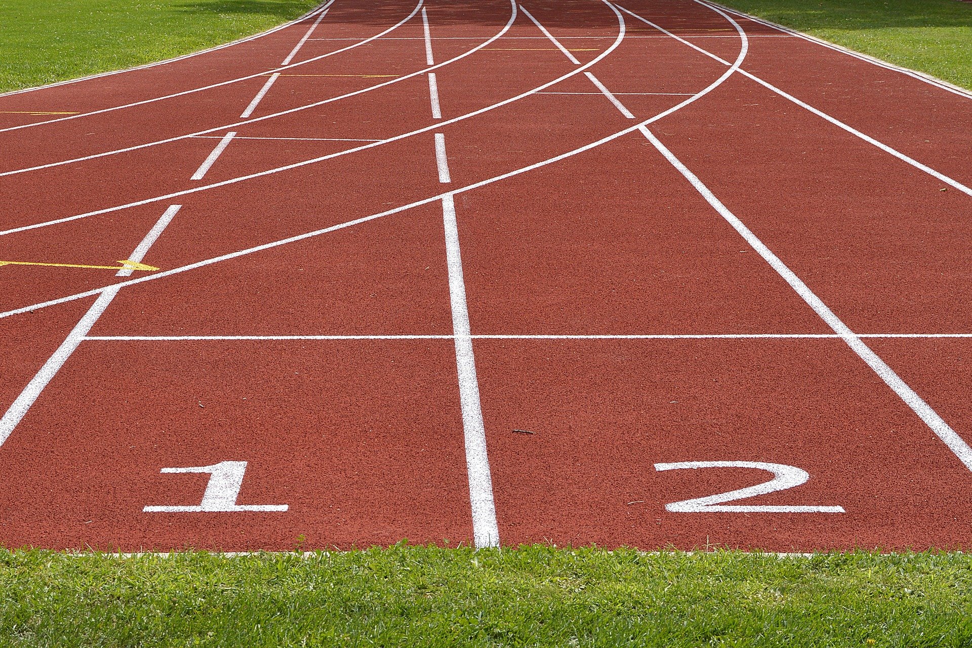 What was he doing with a long pole on the track field? | Photo: Pixabay/anncapictures 