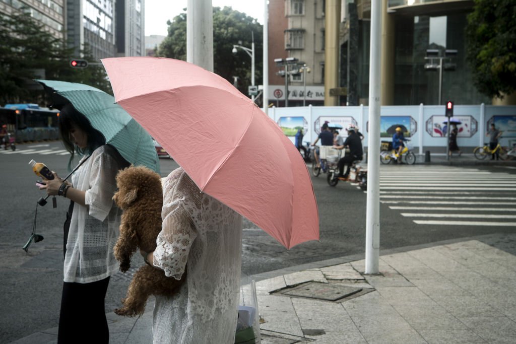 Una mujer con paraguas carga a un perro mientras cae la lluvia en Shenzhen, China. | Foto: Giulia Marchi a través de Getty Images
