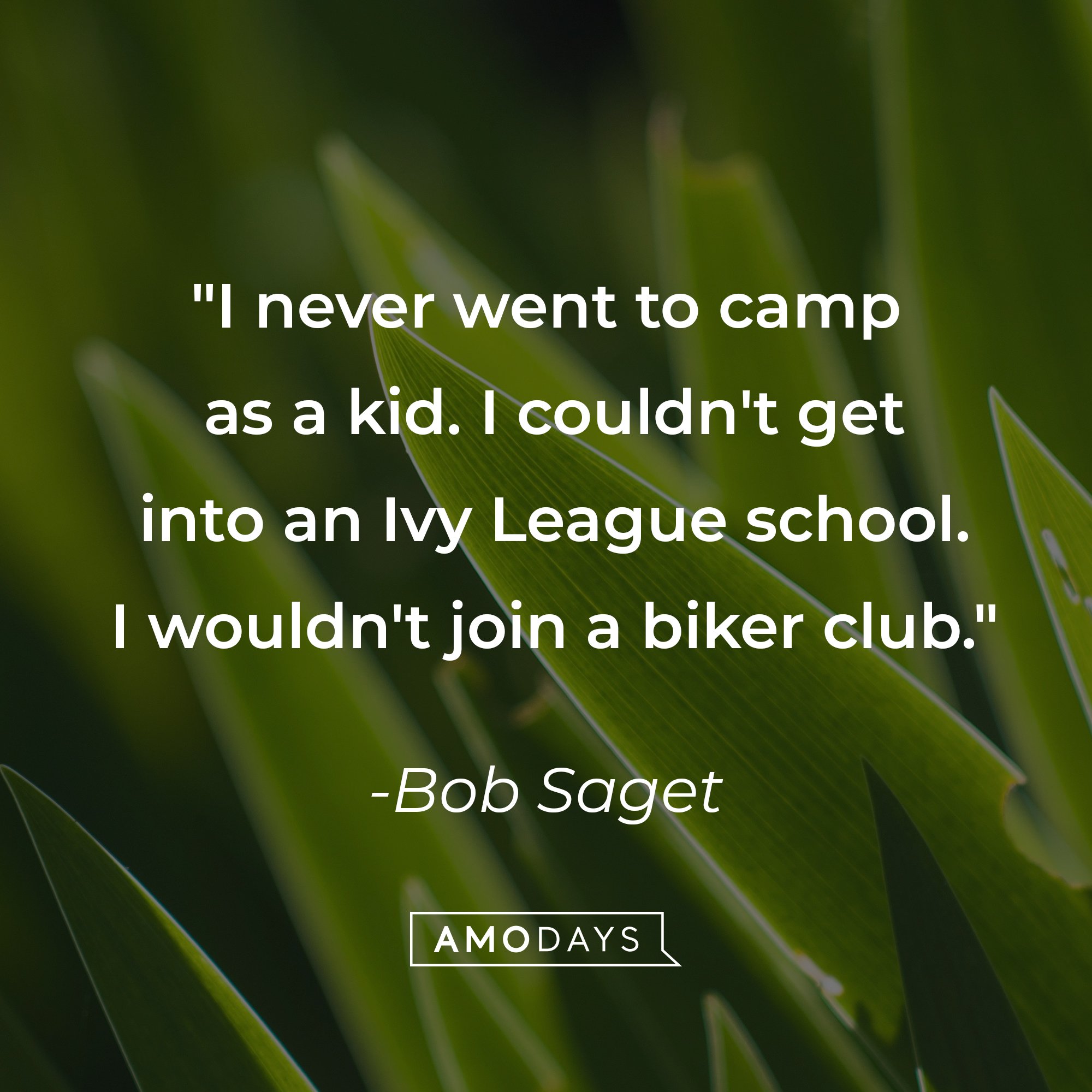  Bob Saget’s quote: "I never went to camp as a kid. I couldn't get into an Ivy League school. I wouldn't join a biker club." | Image: AmoDays