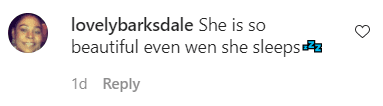 A fan's comment on Michel'le's post of her daughter on Instagram | Photo: Instagram.com/michellemuzic