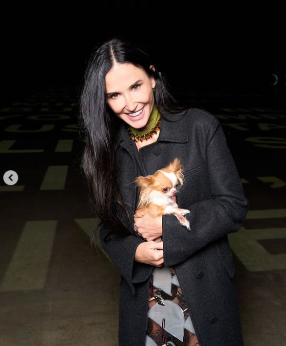Demi Moore wears a black coat and dress while carrying her dog, Pilaf, at the Gucci Cruise 2025 Fashion Show, dated May 2024. | Source: Instagram/demimoore