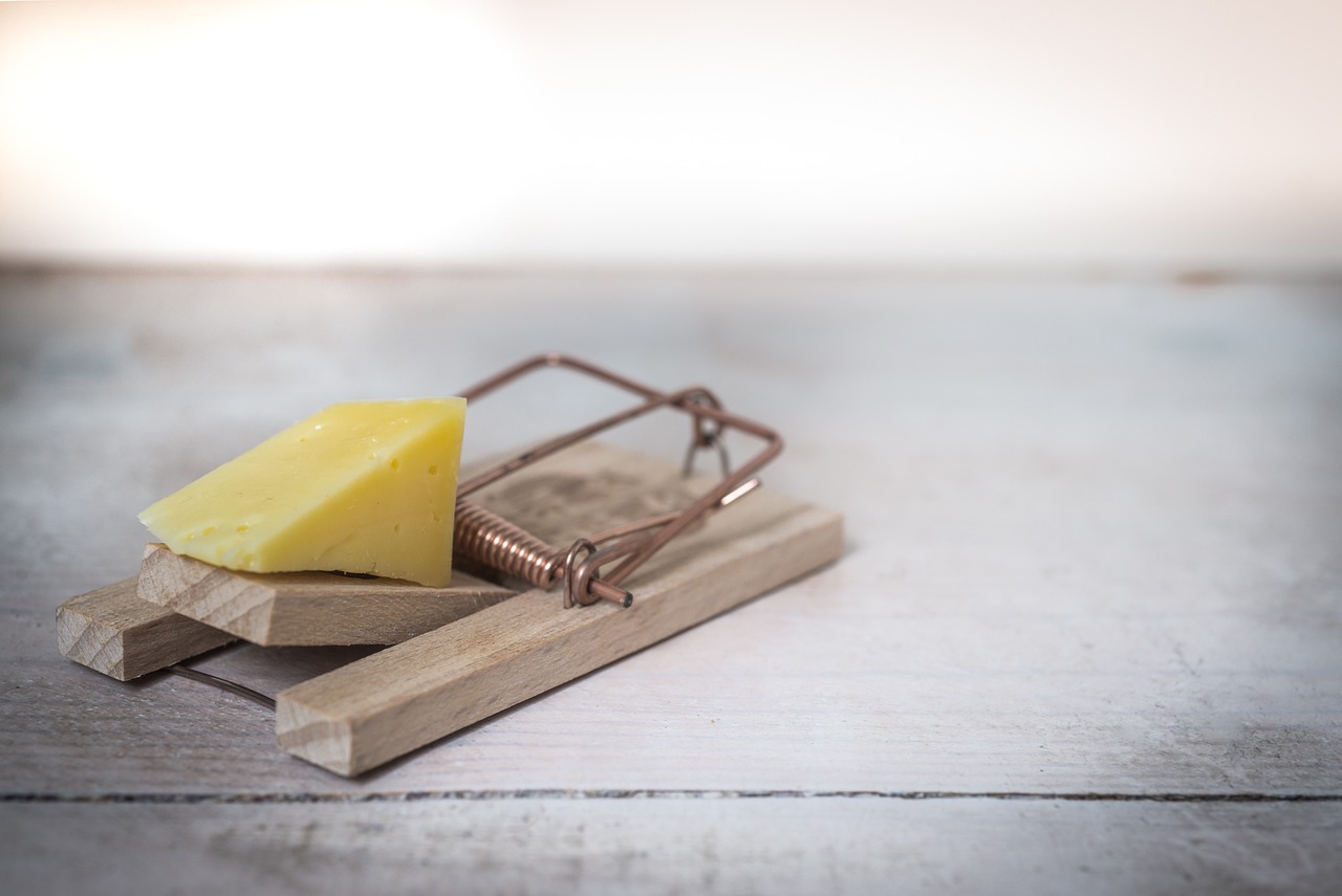 Mousetrap with cheese | Source: Pixabay