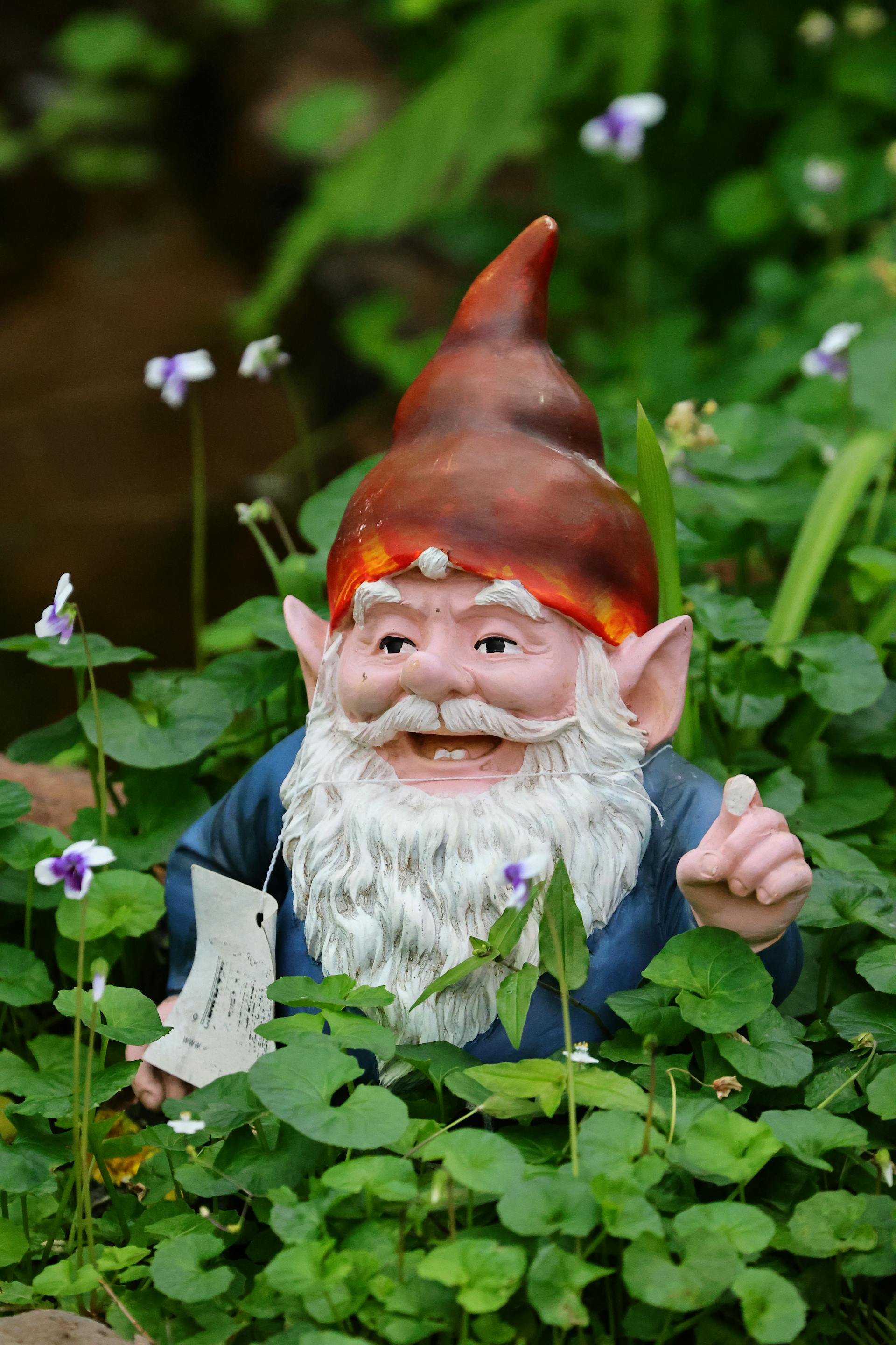 A garden gnome | Source: Pexels