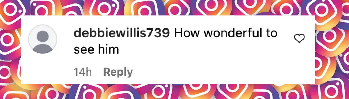 A fan comment on Bruce Willis, dated January 17, 2025 | Source: Instagram/tmz_tv