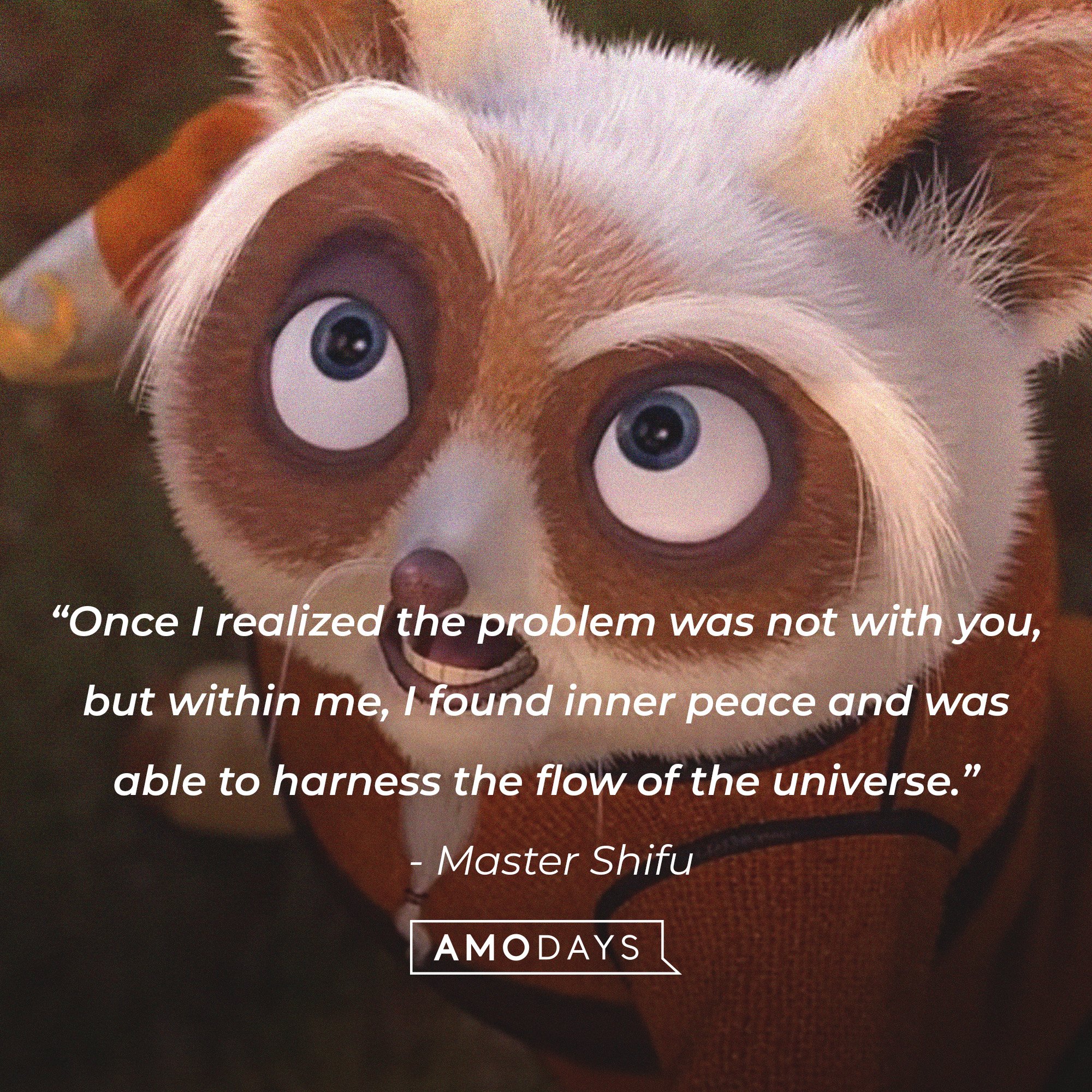  Master Shifu’s quote: “Once I realized the problem was not with you, but within me, I found inner peace and was able to harness the flow of the universe.” | Image: AmoDays