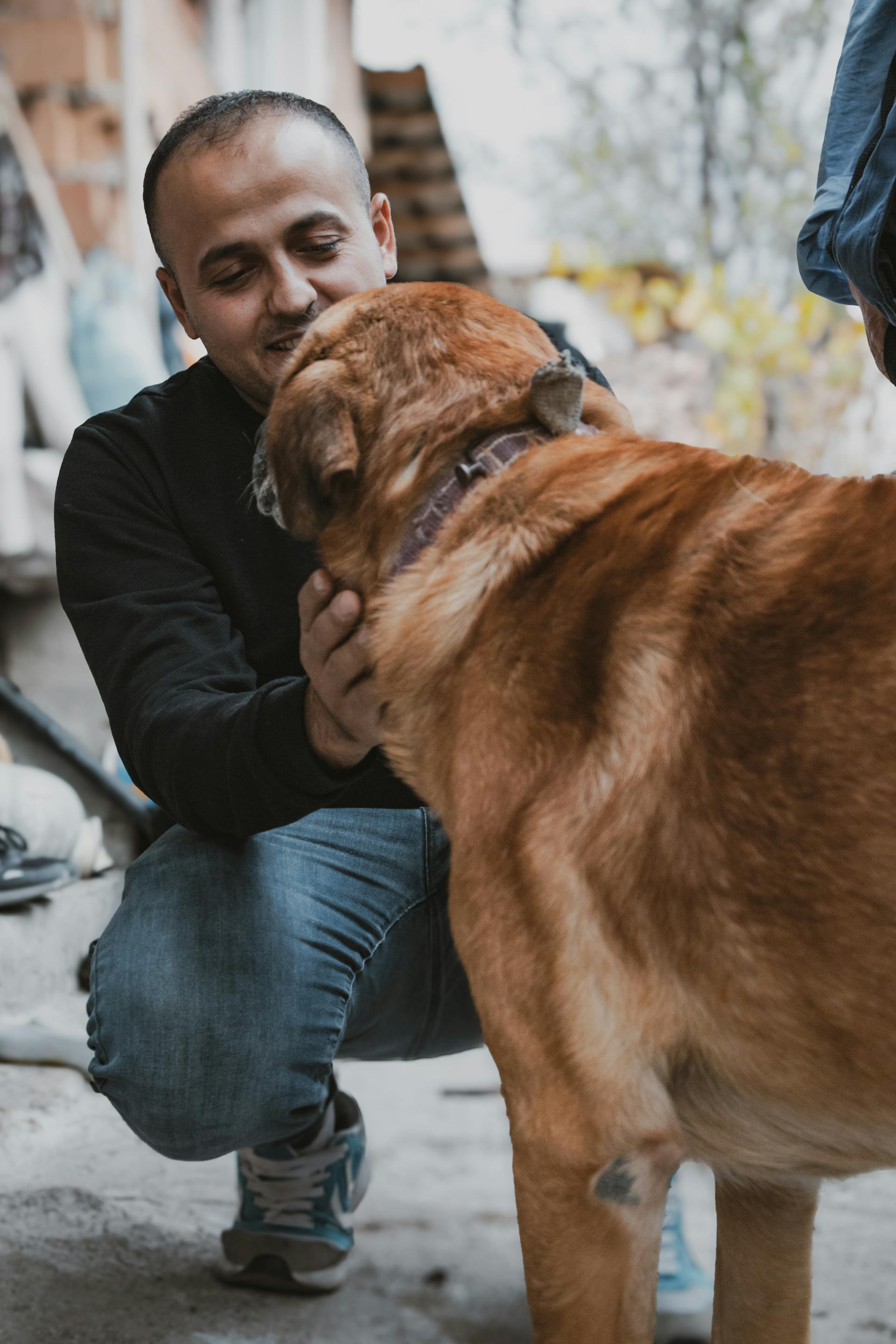 A man crouching and patting a dog | Source: Pexels