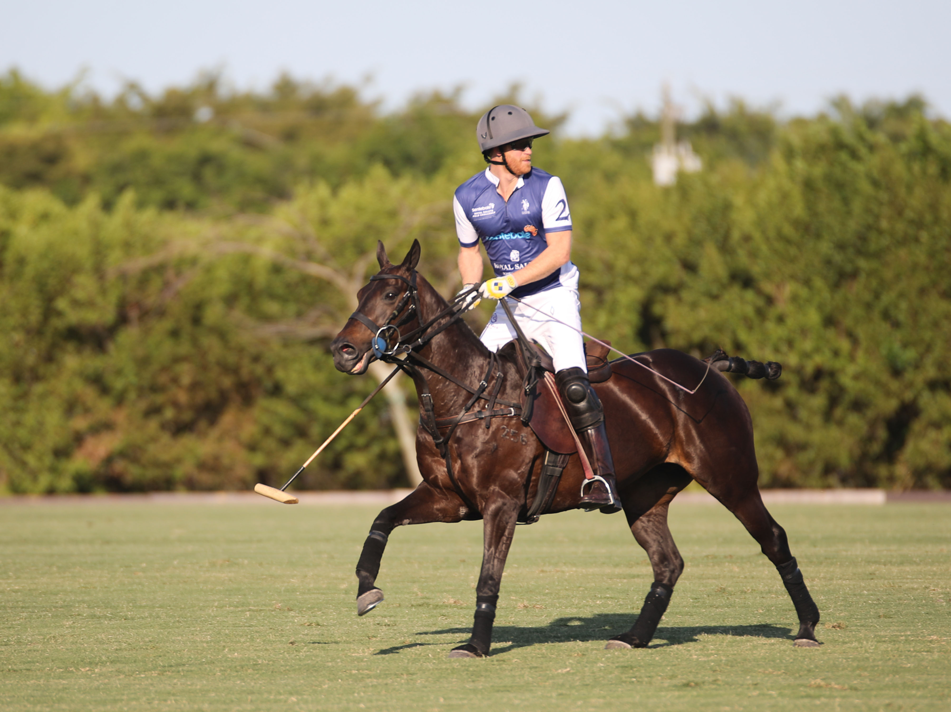 Prince Harry, The Duke of Sussex plays in a polo match during the Royal Salute Polo Challenge, to benefit Sentebale in Wellington, Florida, on April 12, 2024. | Source: Getty Images