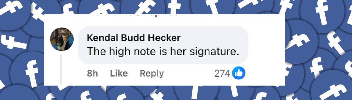 A fan's reaction to Kristin Chenoweth's rendition of the national anthem, from a post dated June 23, 2025 | Facebook/pagesix