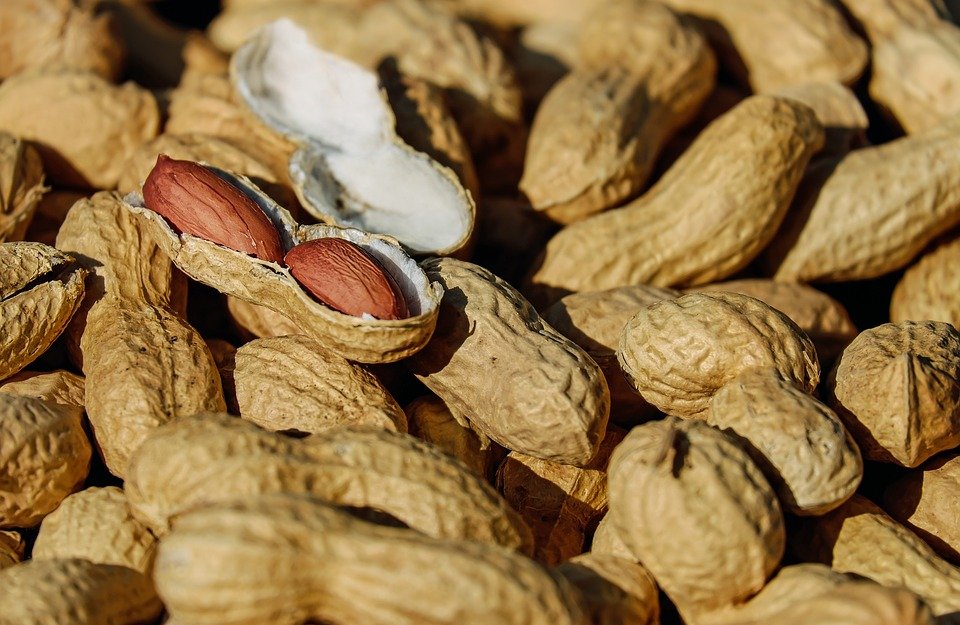 Cacahuète | Image prise de : Pixabay