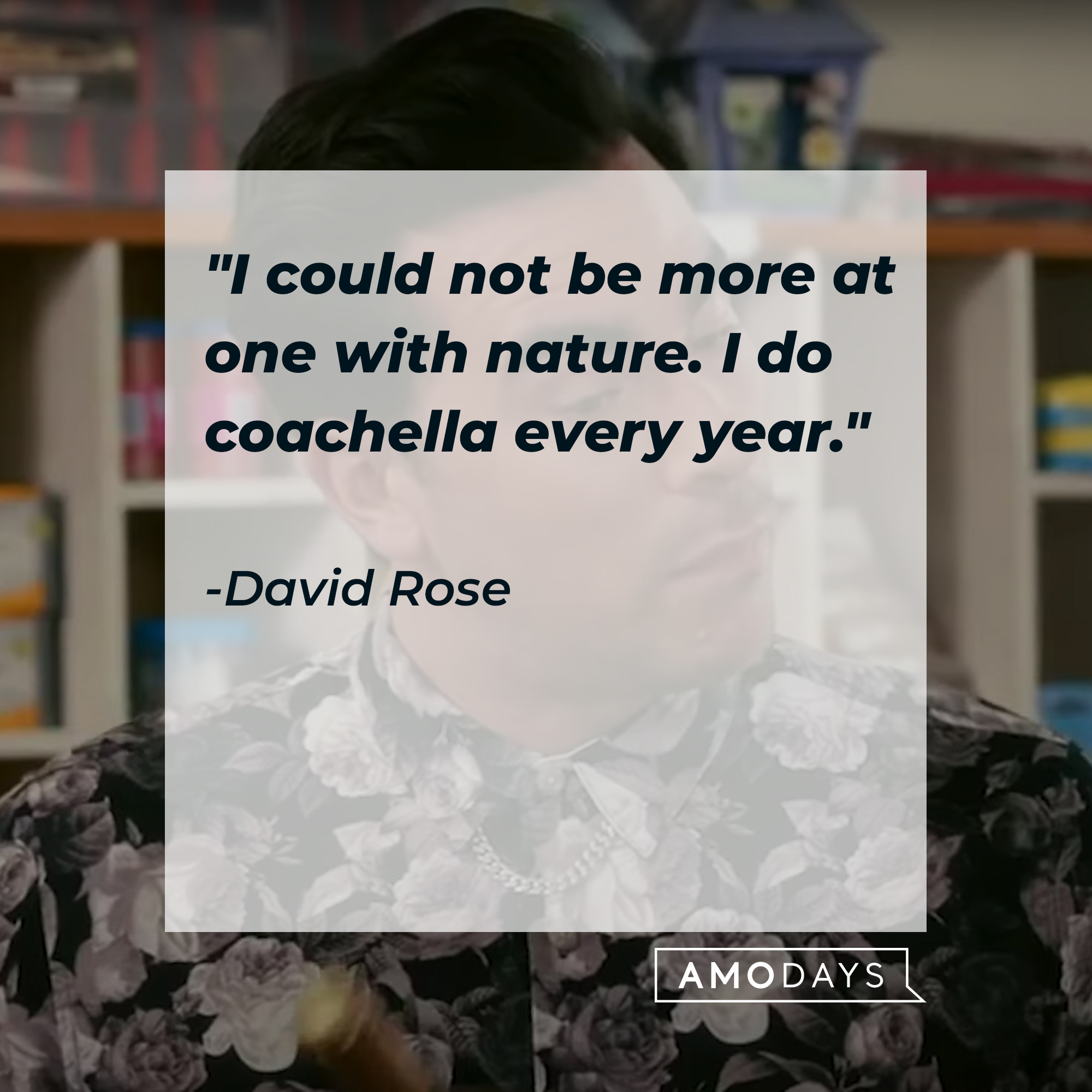 A photo of David Rose with the quote, "I could not be more at one with nature. I do coachella every year." | Source: YouTube/PopTVVideo