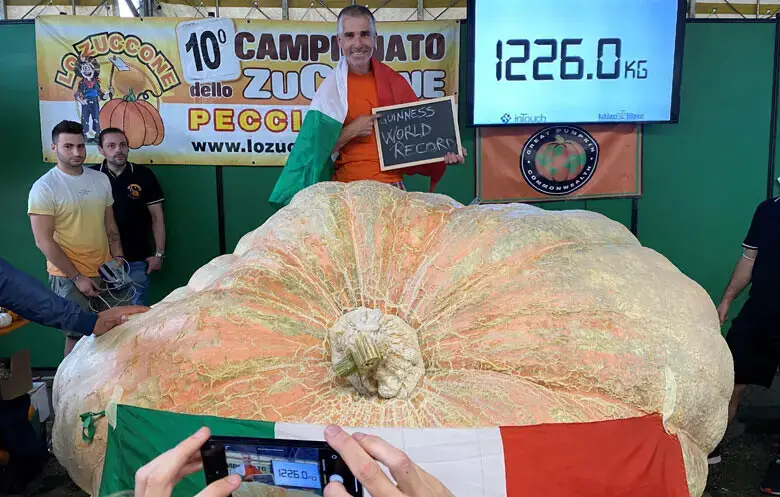 The world's largest pumpkin grown by Stefano Cutrupi in 2021. | Source: Guinness World Records