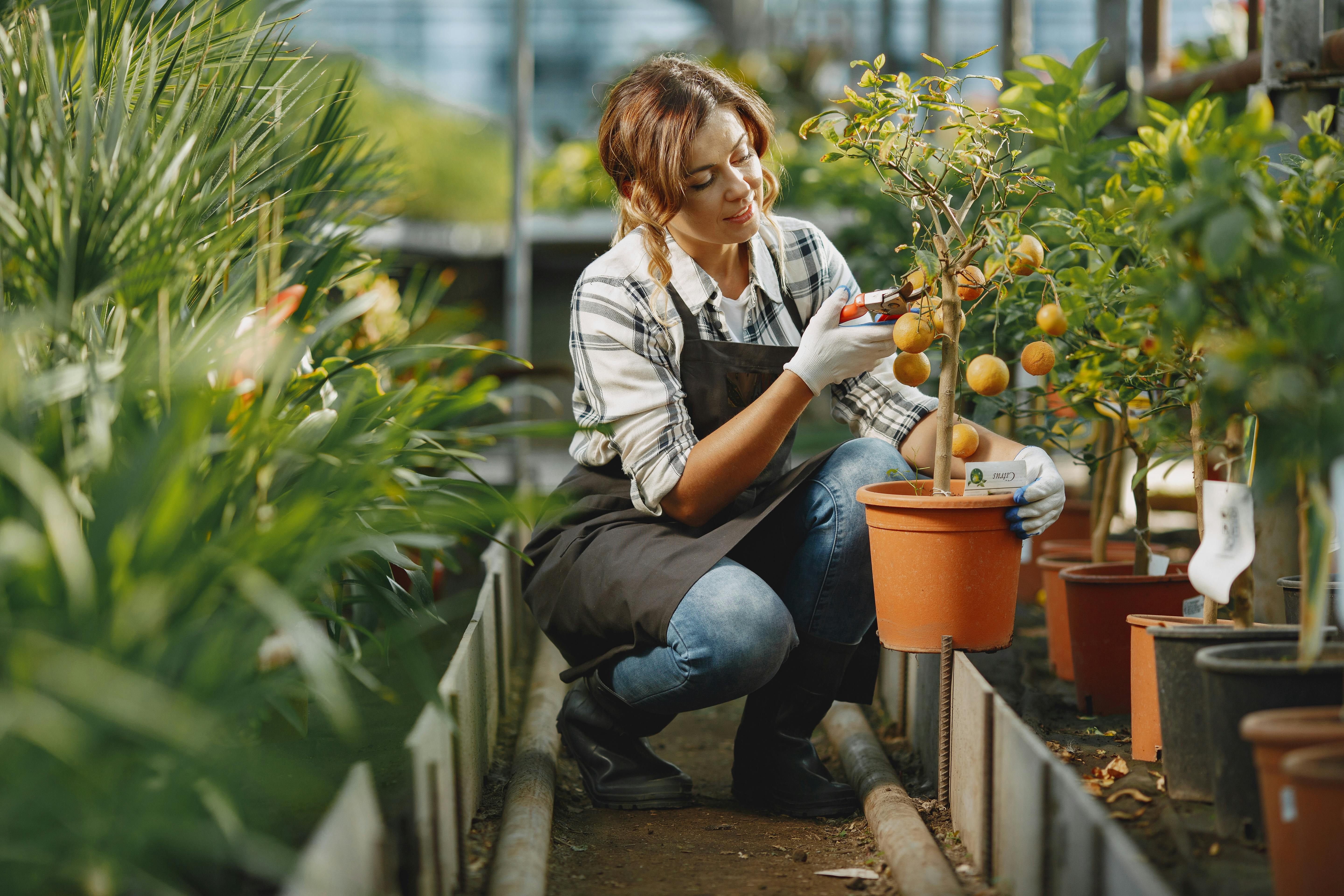 A woman checking on her harvest | Source: Pexels