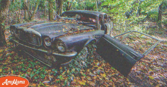 Als er sich im Wald verirrte, fand Justin ein verlassenes Auto mit einer Kiste darin | Quelle: Shutterstock