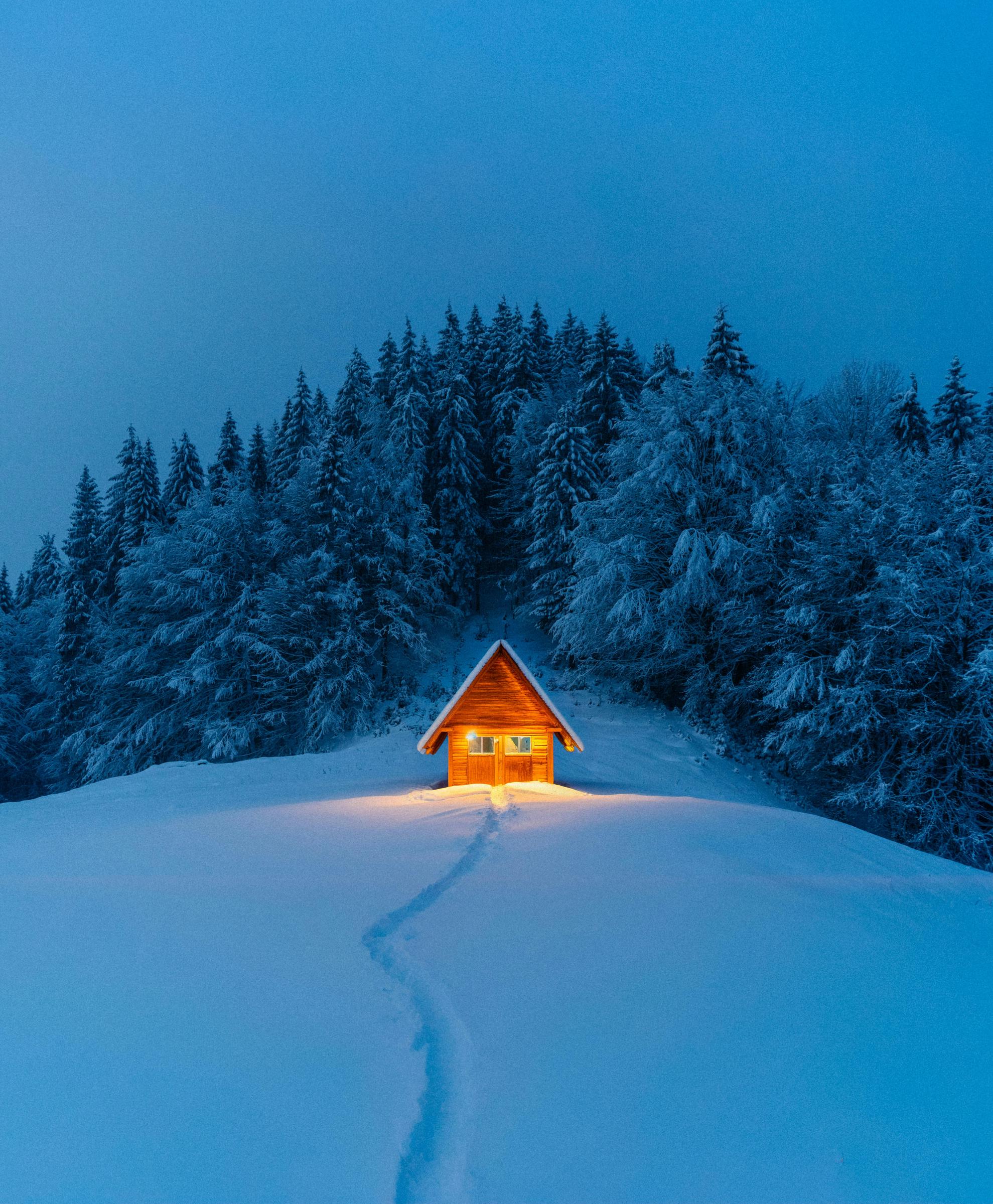 A cabin in the woods during a snowfall | Source: Pexels