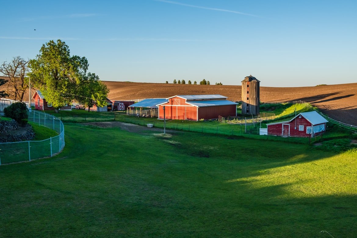 Molly got Tom a job on her son's farm | Source: Unsplash