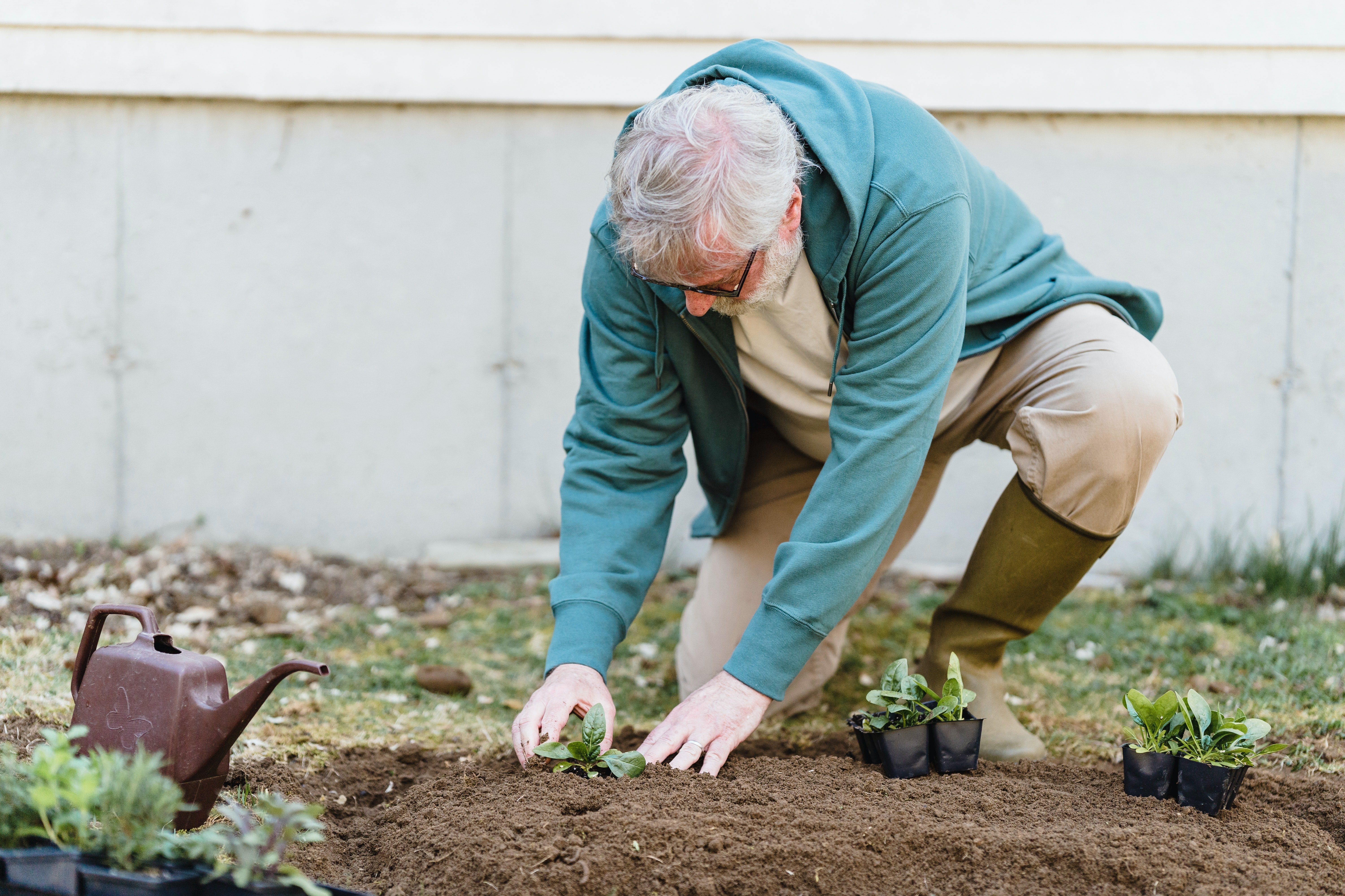 Un anciano siembra algunas plantas. | Foto: Pexels