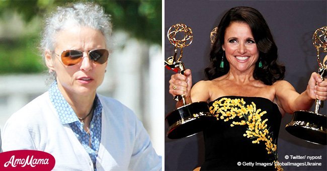 Julia Louis-Dreyfus looks barely recognizable as she steps out amid cancer recovery