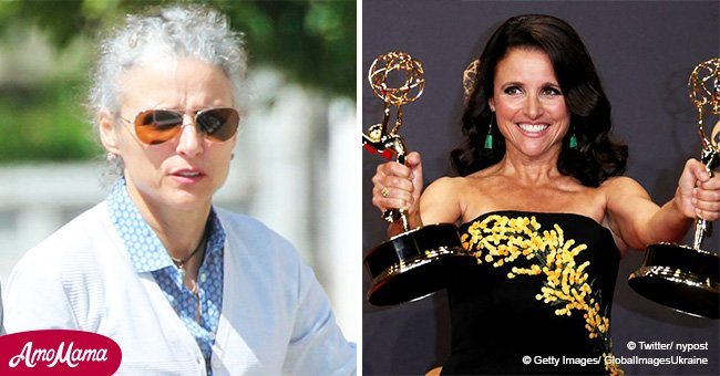 Julia Louis-Dreyfus luce apenas reconocible tras aparecer en medio de su batalla contra el cáncer