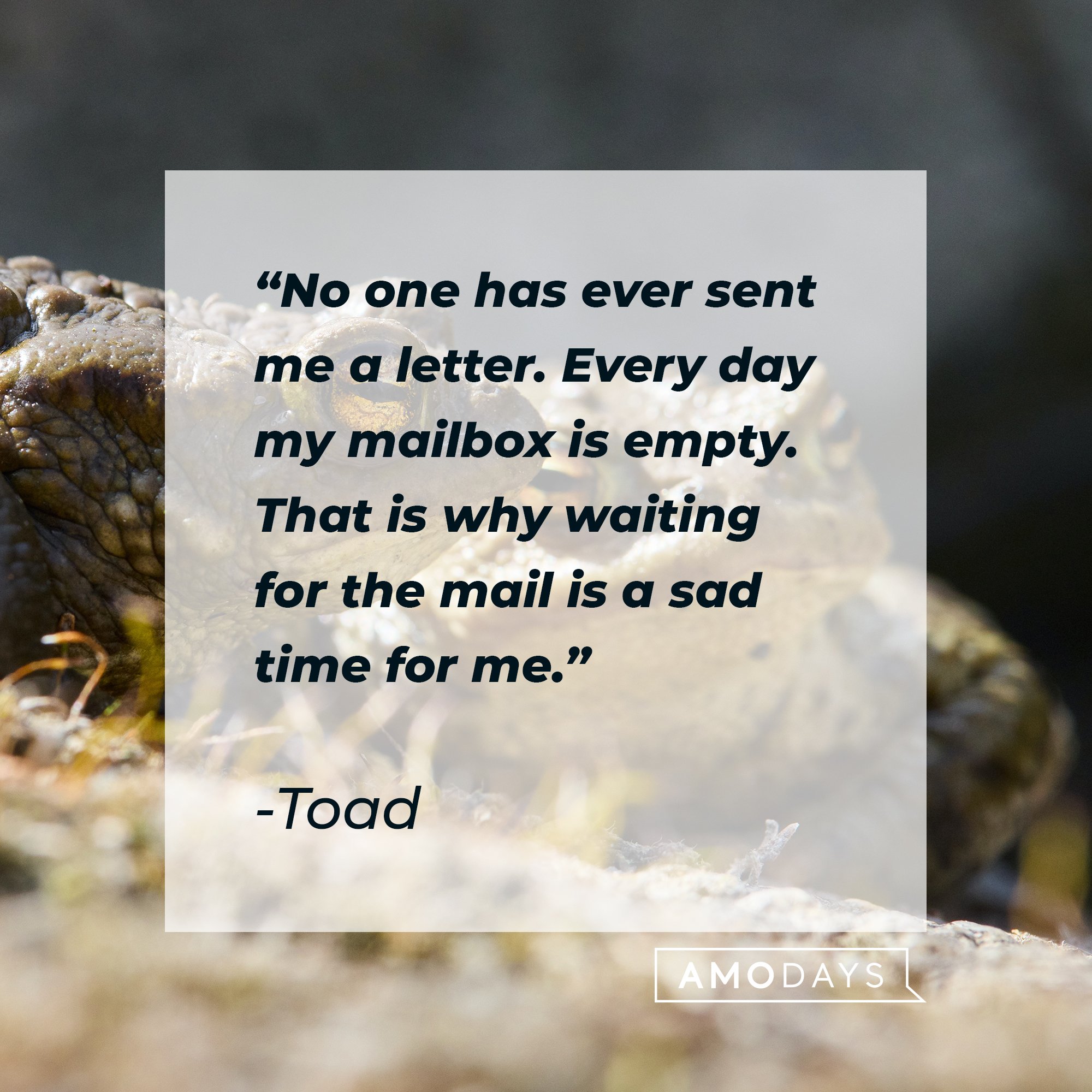 Toad's quote: "No one has ever sent me a letter. Every day my mailbox is empty. That is why waiting for the mail is a sad time for me." | Image: AmoDays