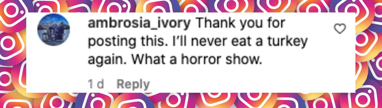 User comment about PETA's resurfaced 2006 turkey video, posted on November 23, 2024 | Source: Instagram/peta