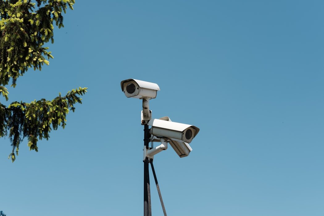 We set up security cameras in our yard | Source: Unsplash