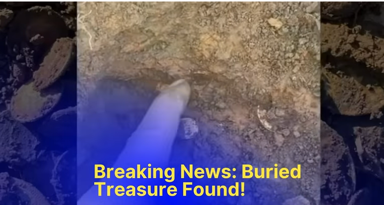 Ein Mann zeigt auf vergrabene Goldmünzen | Quelle: youtube.com/GovMint.com Coins