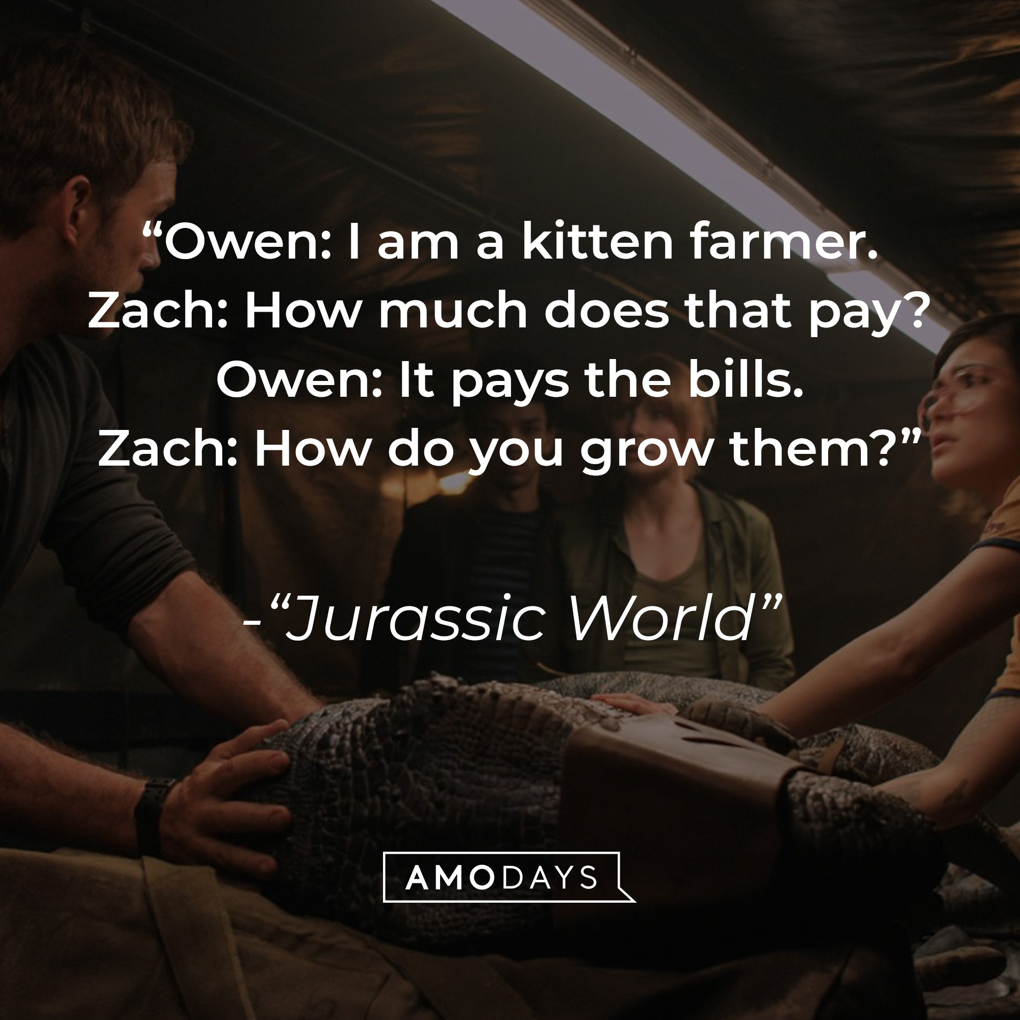 Quote from "Jurassic World:" "Owen: I am a kitten farmer. Zach: How much does that pay? Owen: It pays the bills. Zach: How do you grow them?" | Source: facebook.com/JurassicWorld