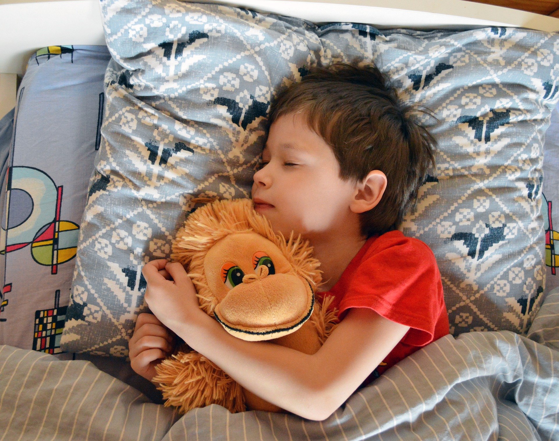 A little boy sleeping in bed while holding a stuffed toy | Photo: Pixabay/my best in collections - see and press