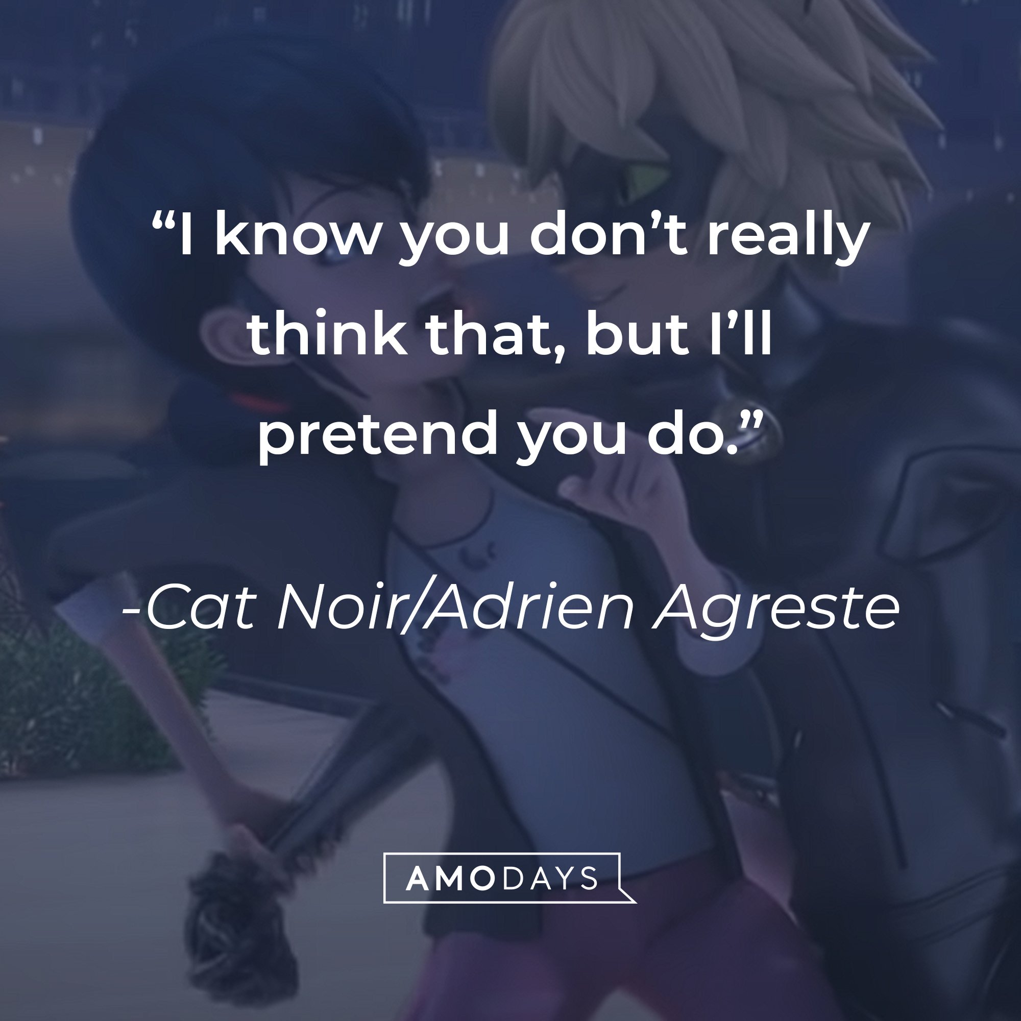 Cat Noir/Adrien Agreste’s quote: “I know you don’t really think that, but I’ll pretend you do.” | Image: AmoDays 