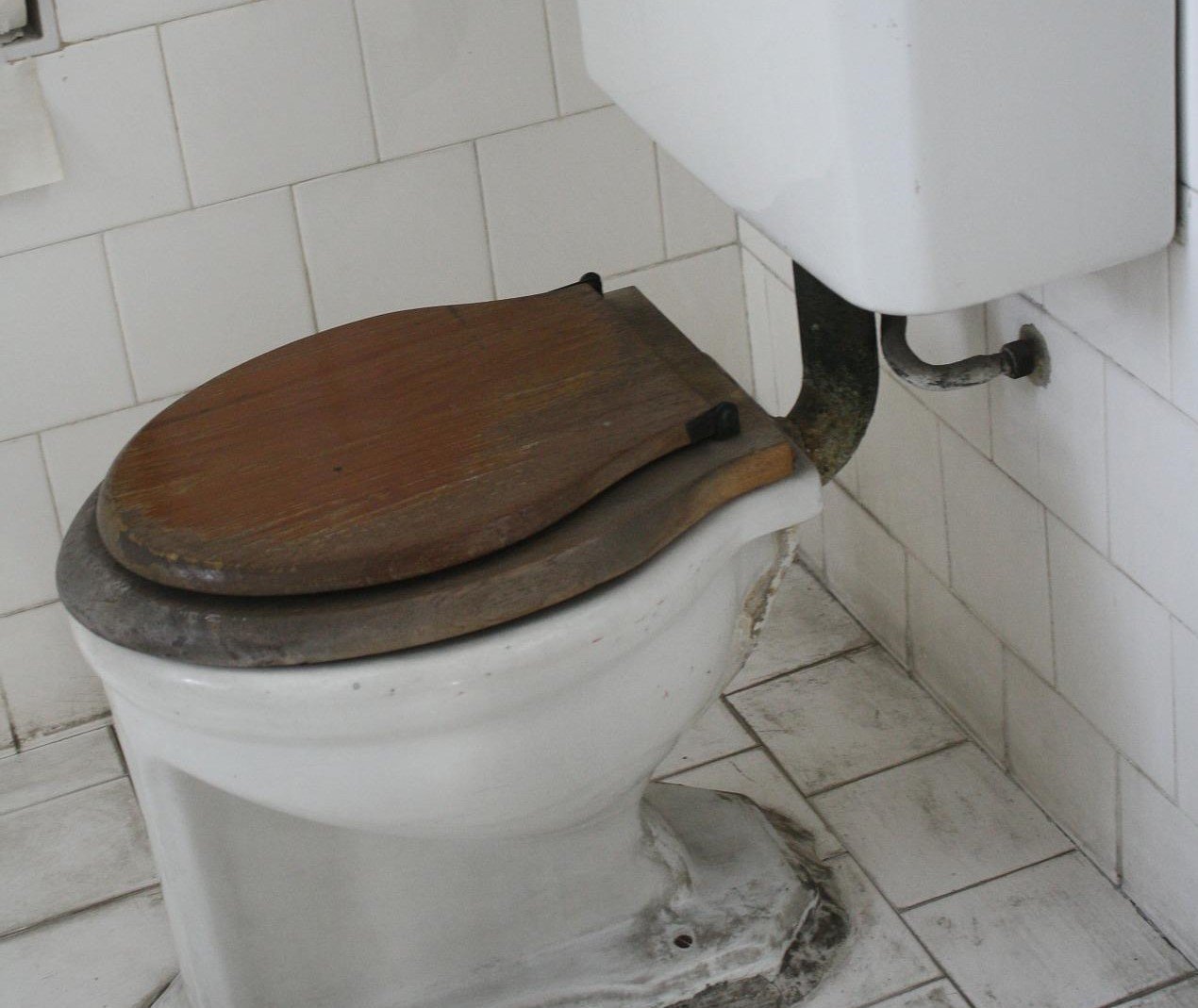 Eva wanted to fix a broken toilet in her bathroom, so she looked for a cheap one online. | Source: Pixabay 