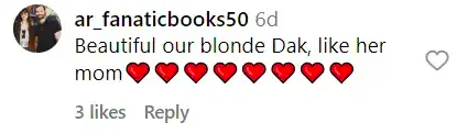 A screenshot of a comment talking about Dakota Johnson posted on August 29, 2023 | Source: Instagram/teatime.pictures