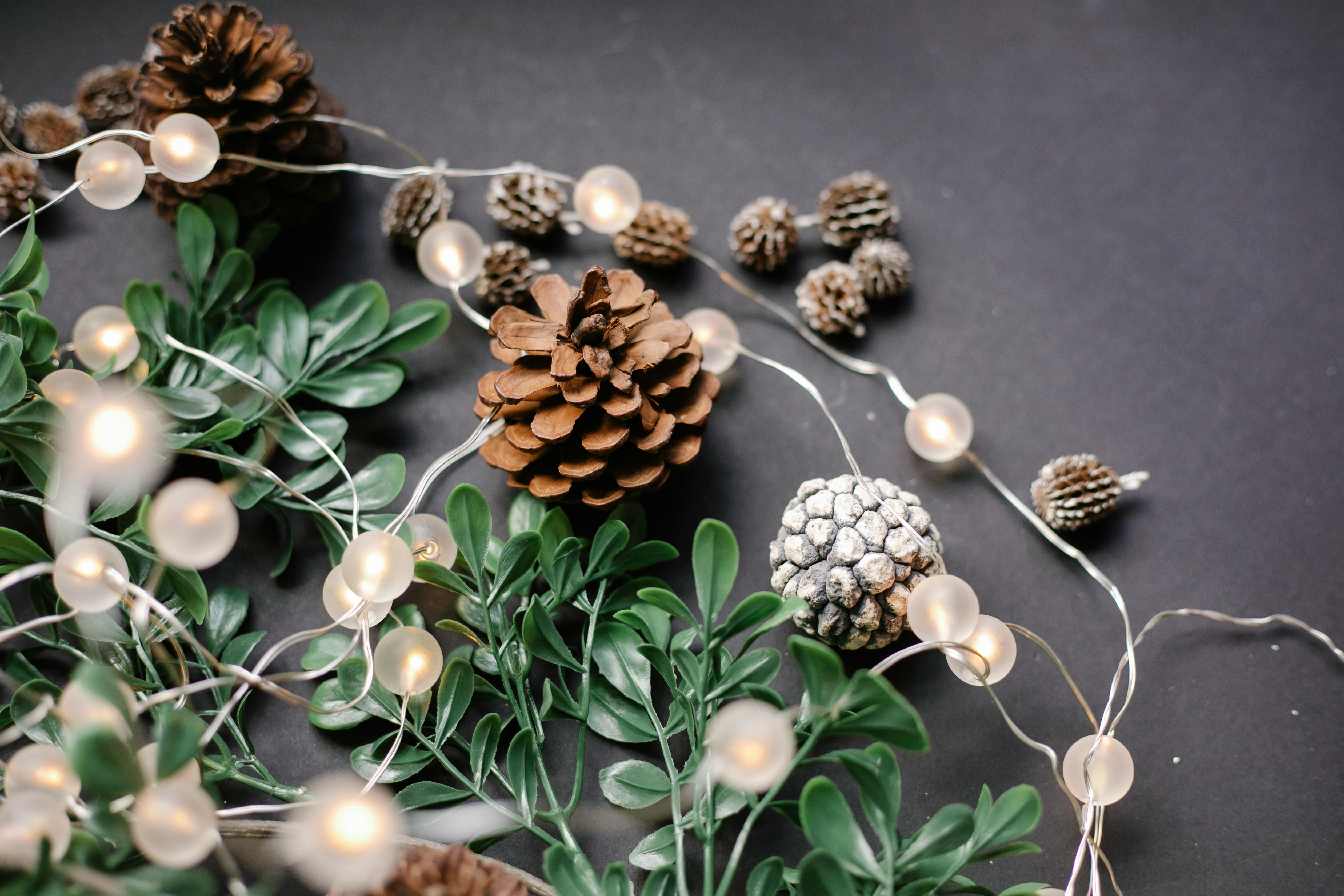 A garland with lights | Source: Pexels