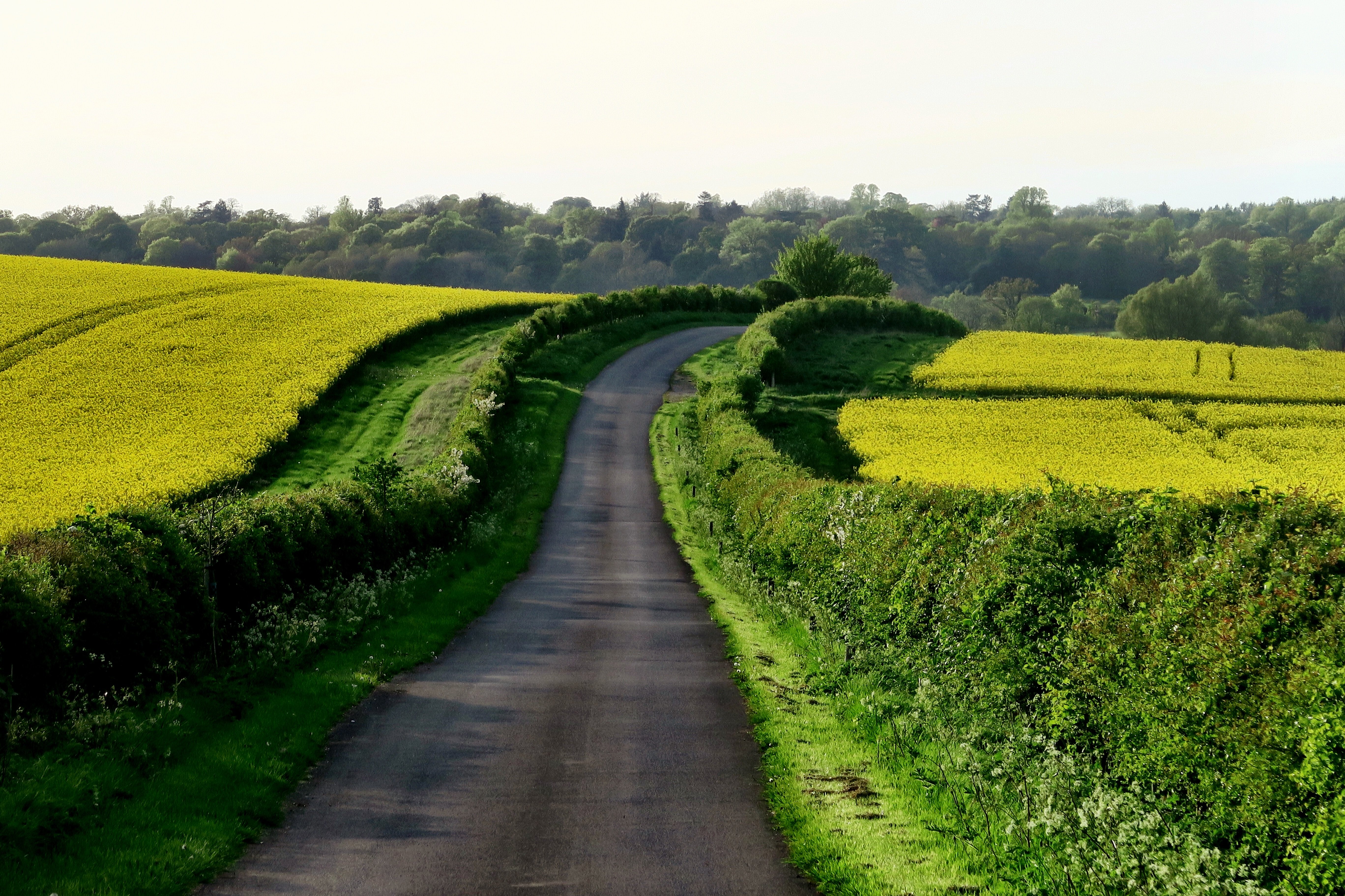 A country road | Source: Unsplash.com
