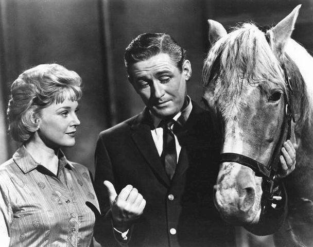 Connie Hines and Alan Young in "Mister Ed" in 1963. | Source: Wikimedia Commons.