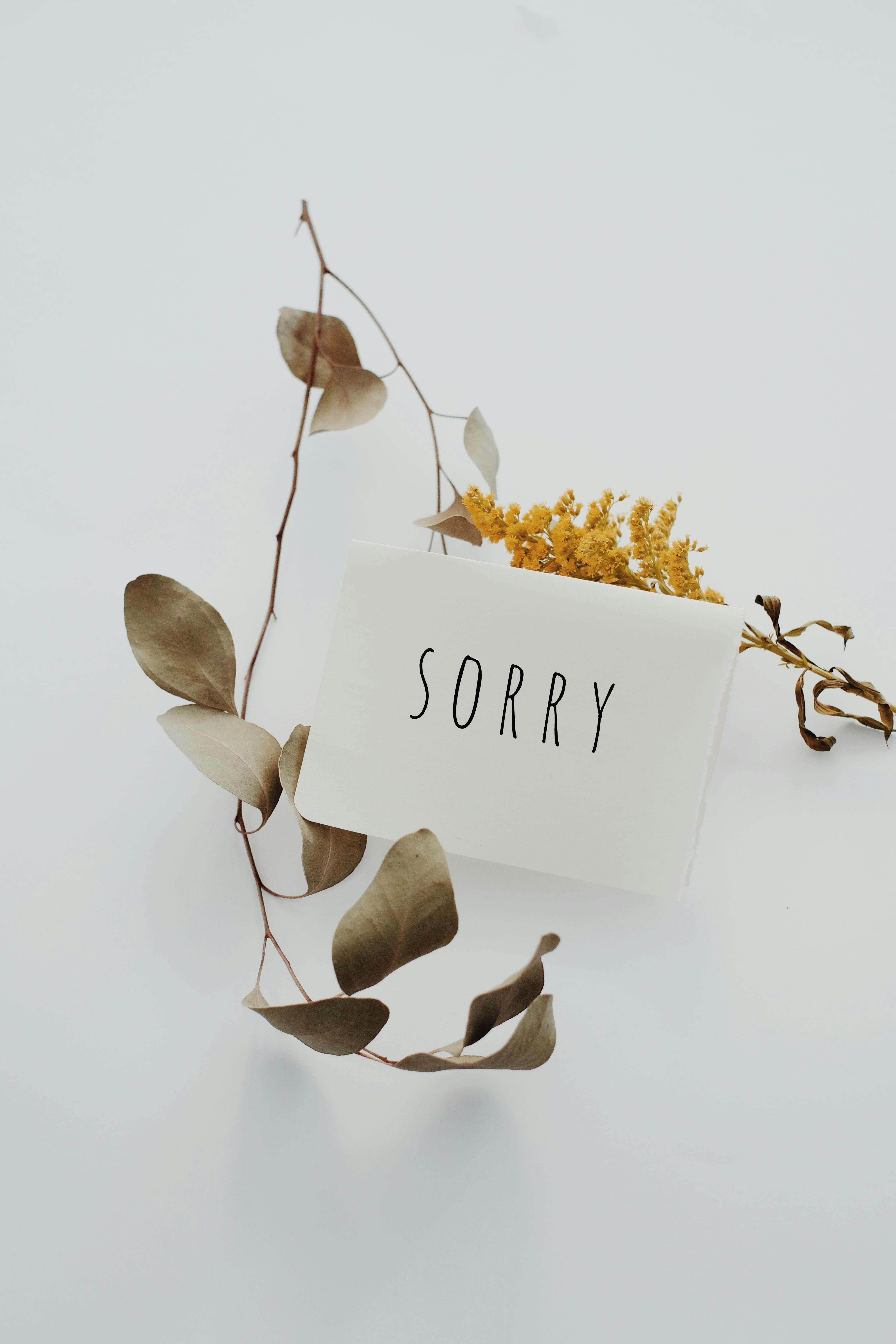 A sorry letter | Source: Pexels