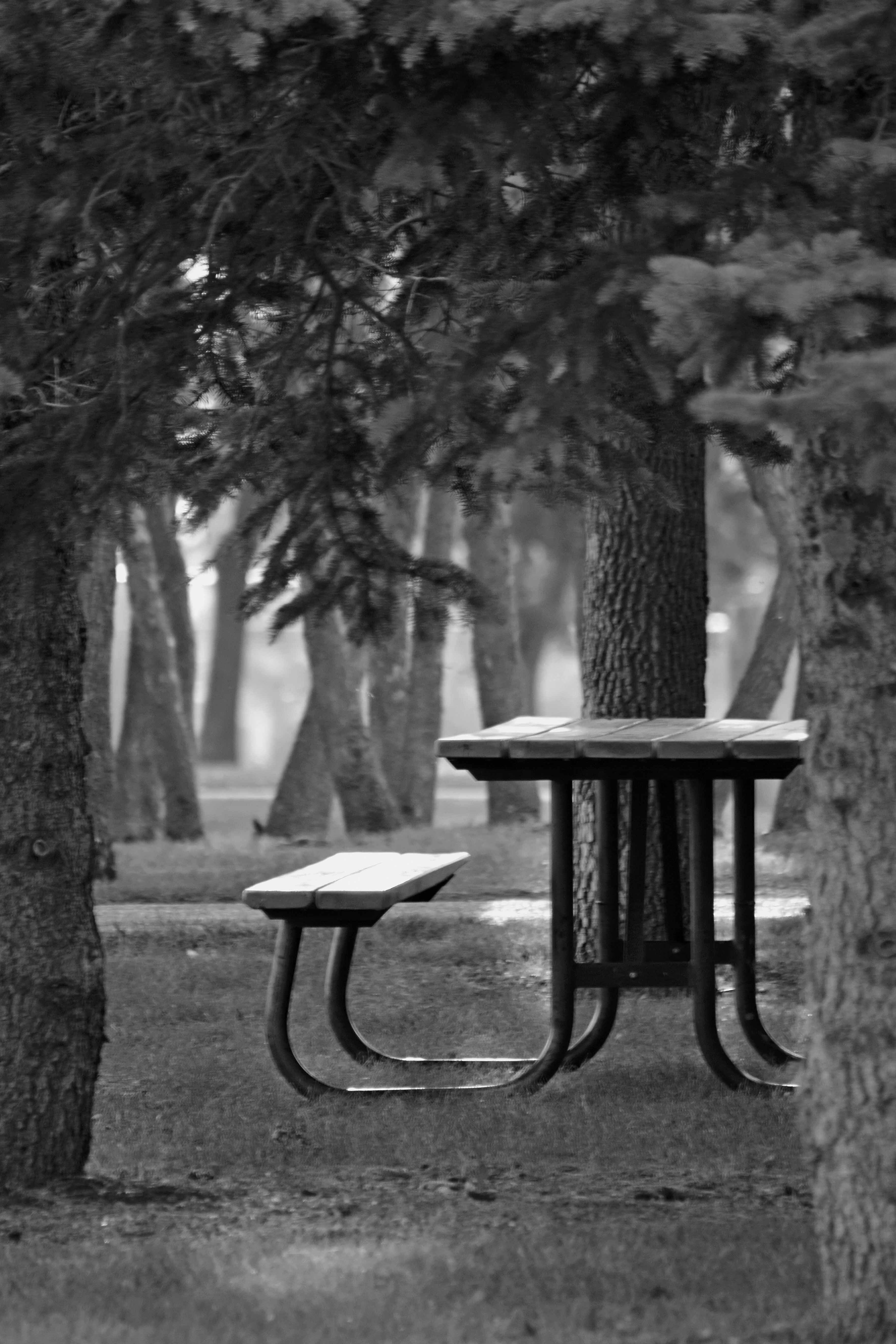 The mom was preparing the picnic table when her daughter went to the lake. | Source: Pexels