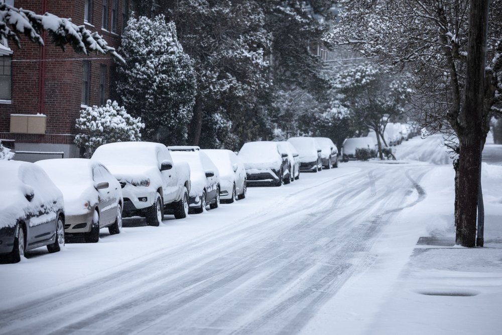 A street and lined vehicles covered in snow | Photo: Shutterstock