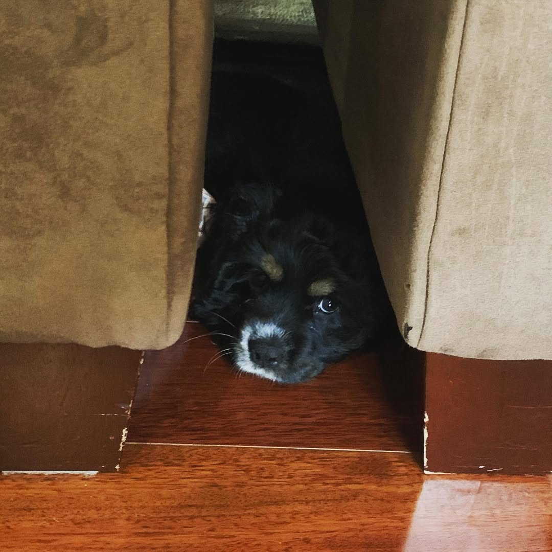 A glimpse inside Sean Murray's home from a post dated September 10, 2020. | Source: Instagram/therealseanhmurray