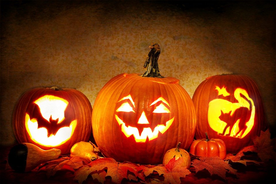 Calabazas de Halloween. | Imagen: Pixabay