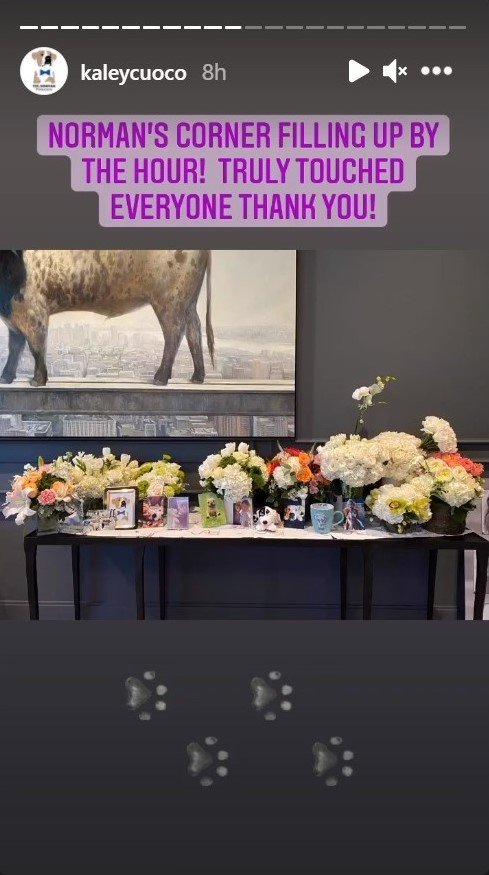 Screenshot der Instagram-Story von Kaley Cuoco | Quelle: Instagram/Kaley Cuoco