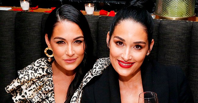 Hollywood Life: Source Claims Nikki and Brie Bella Are Excited to ...