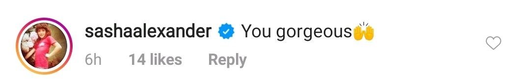 A fan comments on Rebel Wilson's post on Instagram on September 21, 2020 | Photo: Instagram/rebelwilson