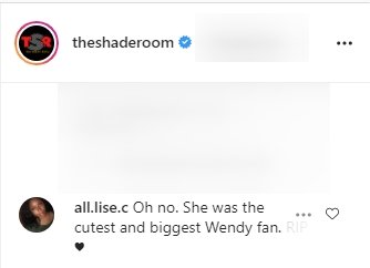 A fan reacts to Wendy Williams' mother's death. | Source: Instagram/theshaderoom